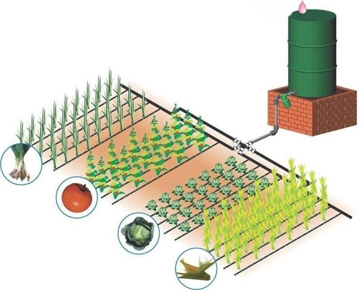 Formation en Irrigation Goutte à Goutte par Gravitation