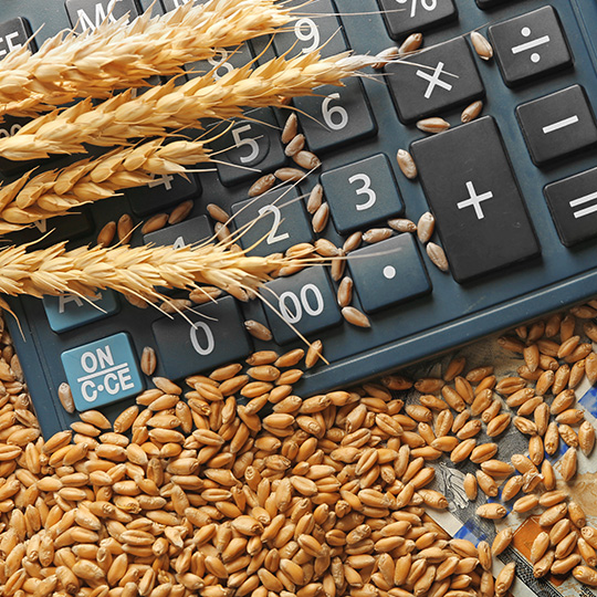 Comptabilité agricole