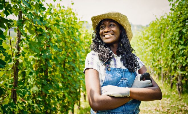 Entrepreneuriat agrobusiness