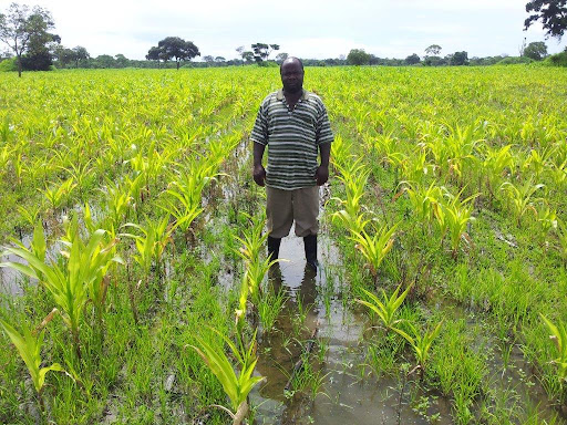 Gestion des risques agricoles