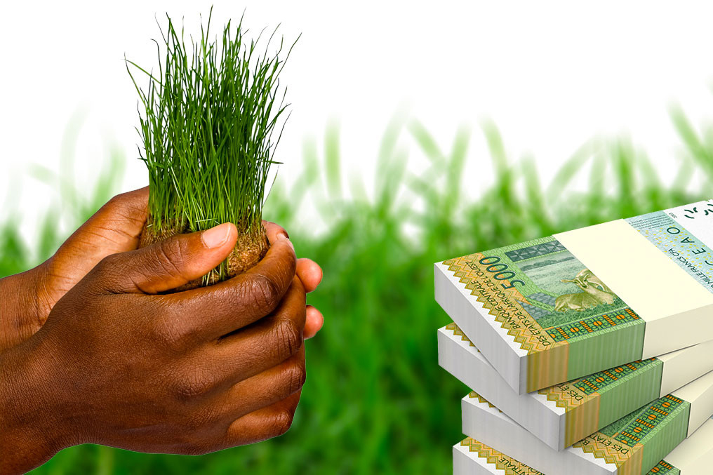 Financement agricole